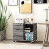 Printer Cabinet
