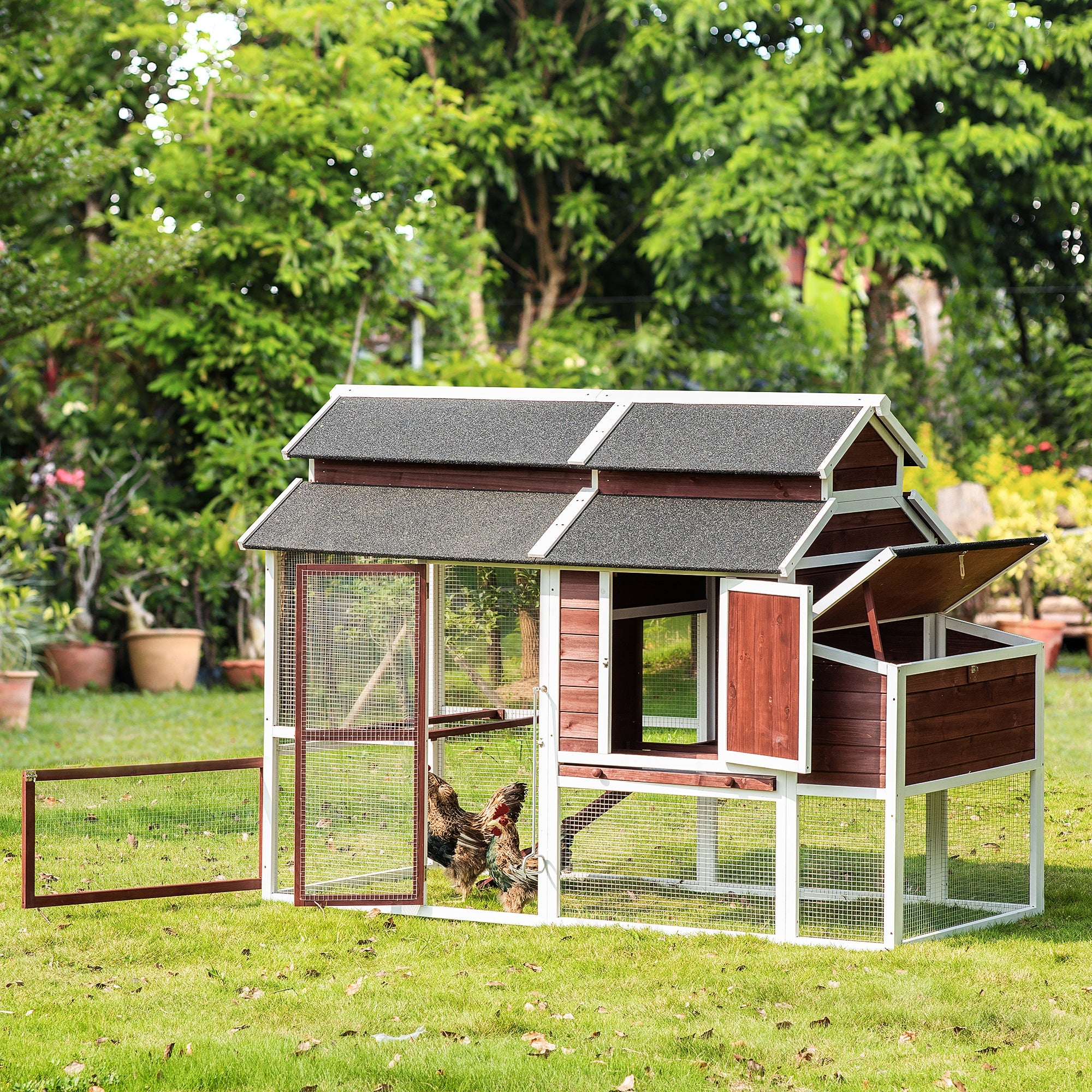 Chicken Coop