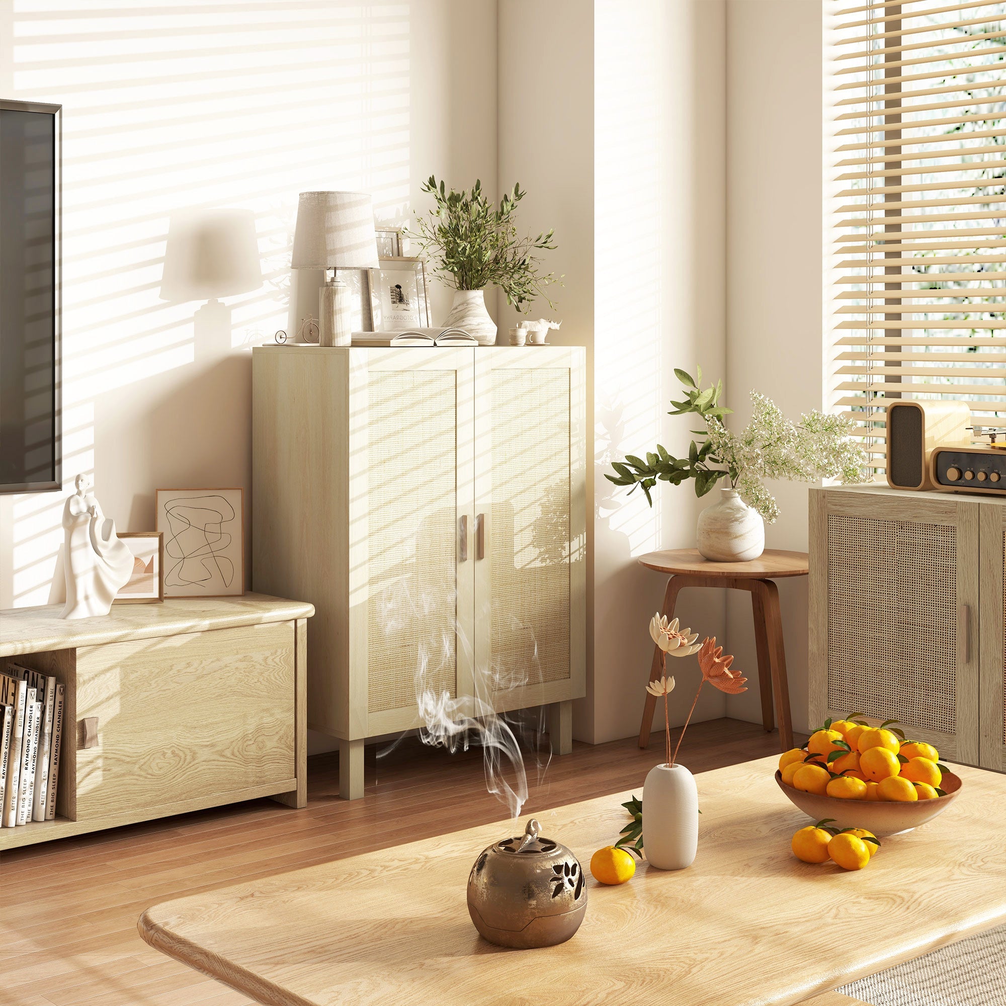 Storage Furniture