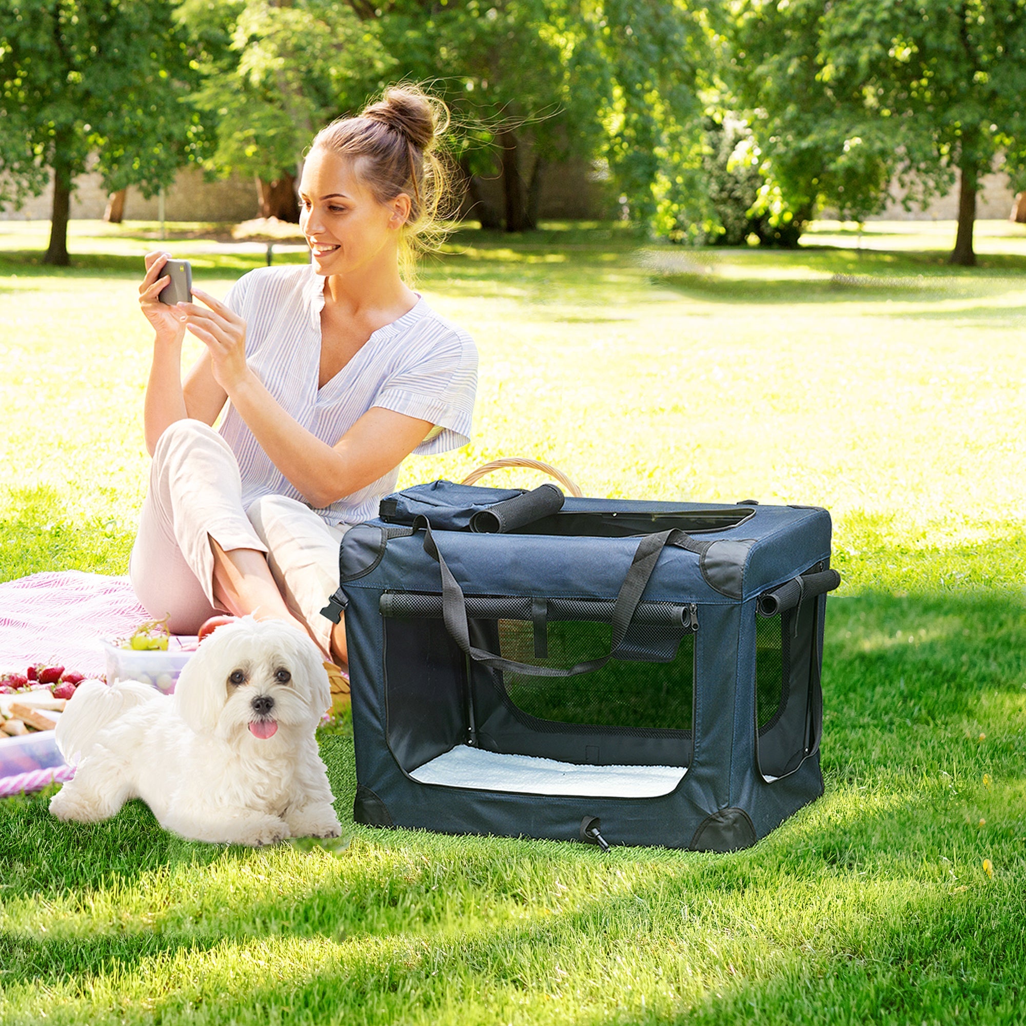 Pet Carrier Bag