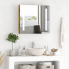 Mirror Cabinet