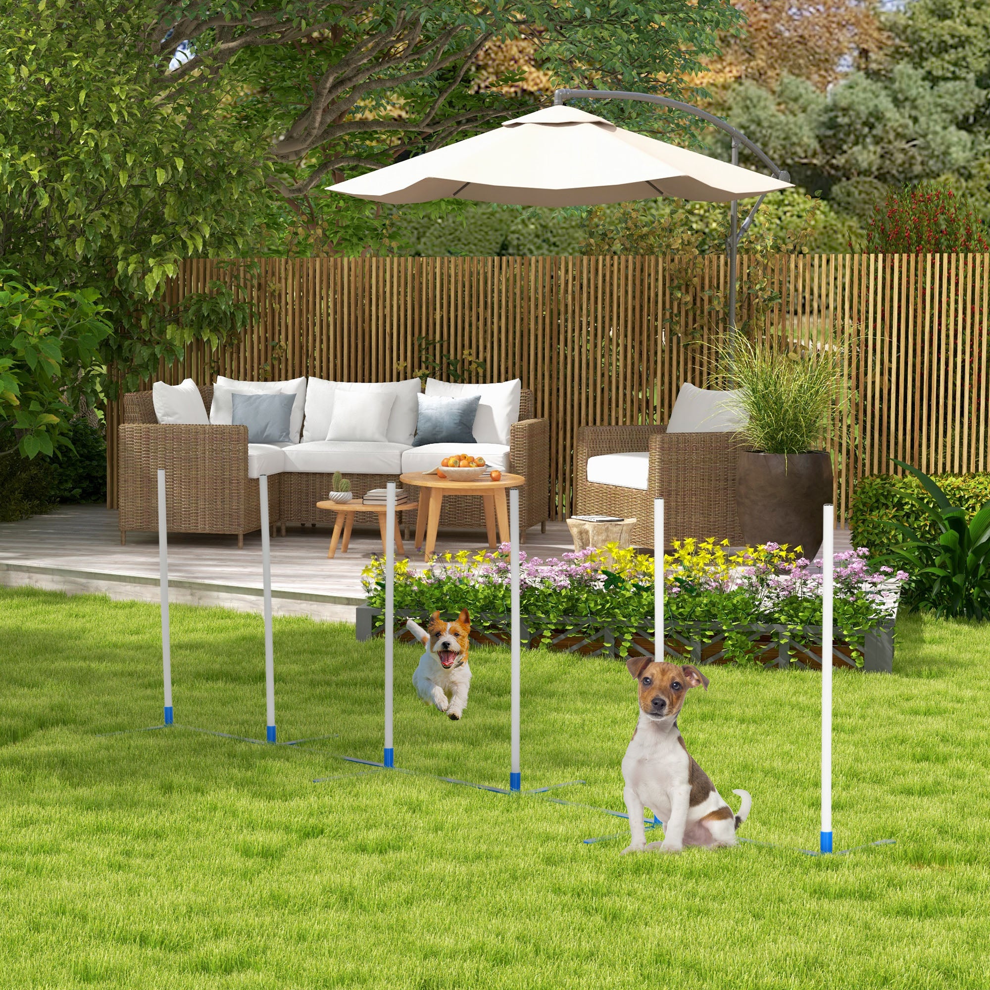 PawHut Adjustable Dog Agility Training Obstacle Set with Weaves Poles and Storage Bag for Pet Dogs Outdoor Games Exercise Blue and White