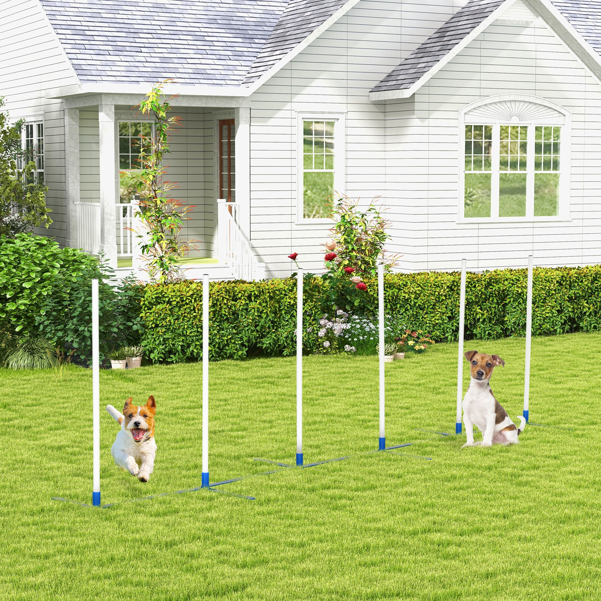 PawHut Adjustable Dog Agility Training Obstacle Set with Weaves Poles and Storage Bag for Pet Dogs Outdoor Games Exercise Blue and White