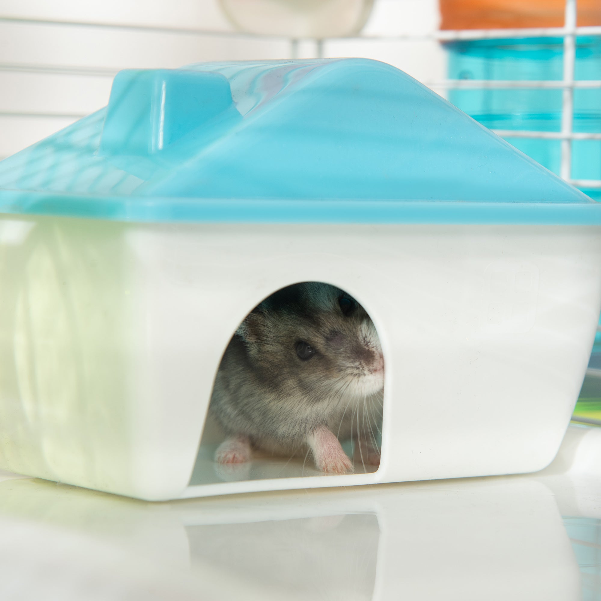 PawHut 31" Large Hamster Cage, Small Animal House, Multi-storey Gerbil Haven, Tunnel Tube System, with Water Bottle, Exercise Wheel, Food Dish, Ramps, Blue