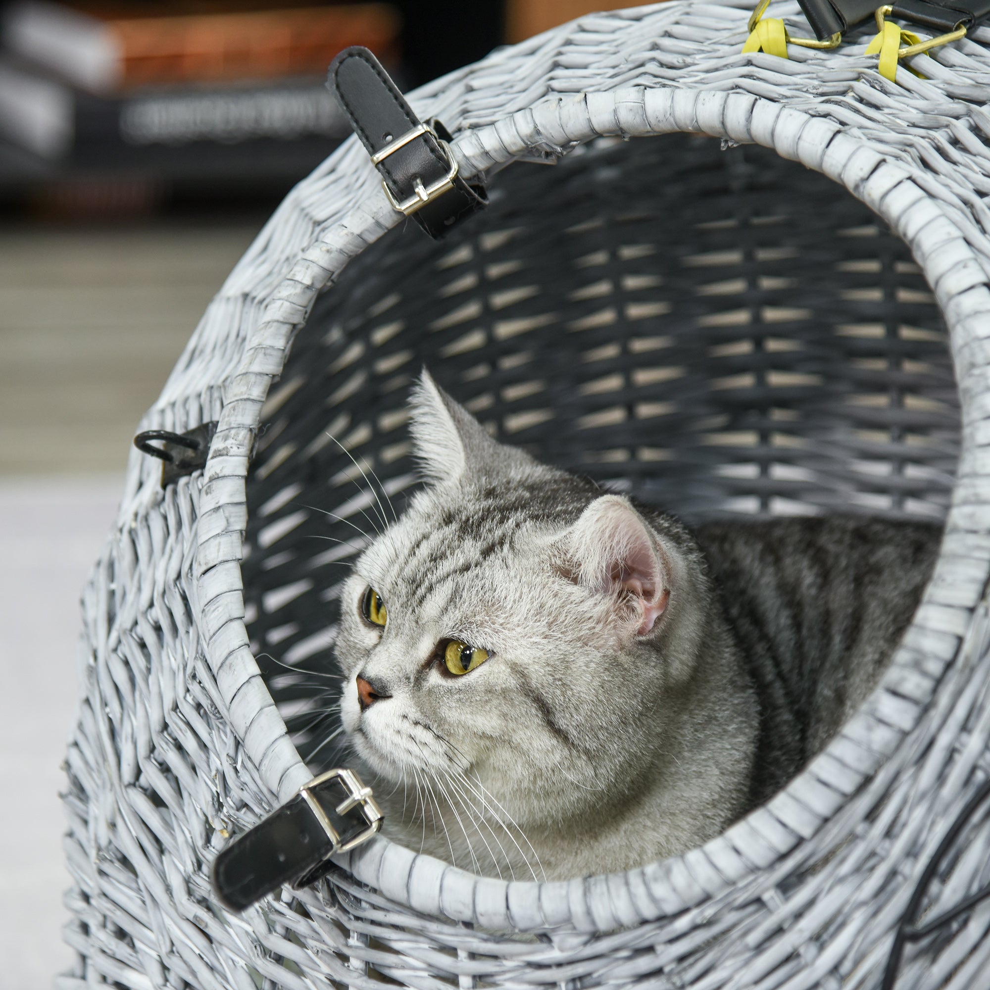 PawHut Wicker Pet Carrier Basket Cat Kitten Bed Portable Travel Cage  w/ Soft Cushion Handle  Grey 50 x 40 x 40 cm