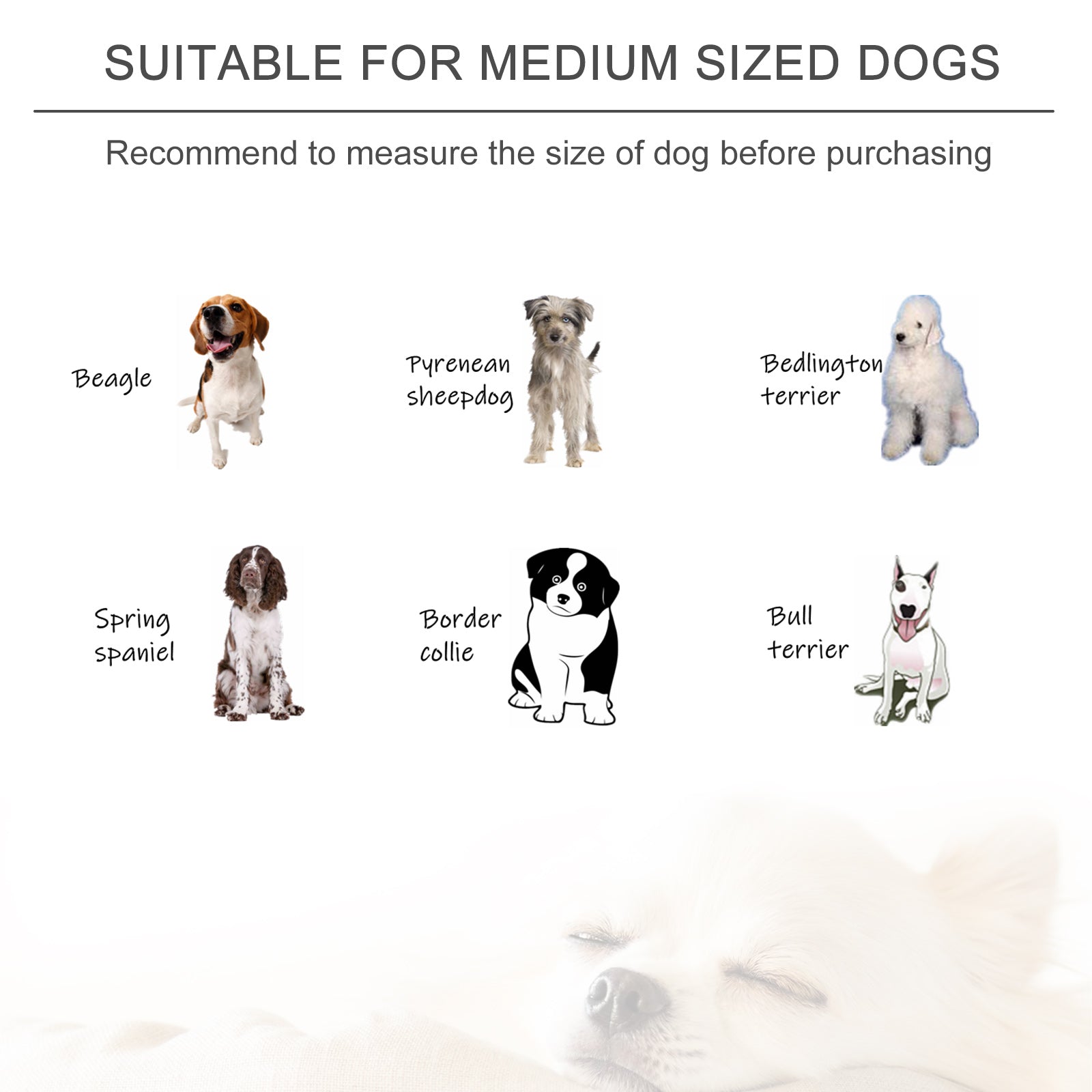 PawHut Dog Sofa Oval Shape Pet Bed, Cat Chair Couch with Sponge Padded Cushion, Washable Cover, Wooden Legs for Small and Medium Dogs - Light Blue