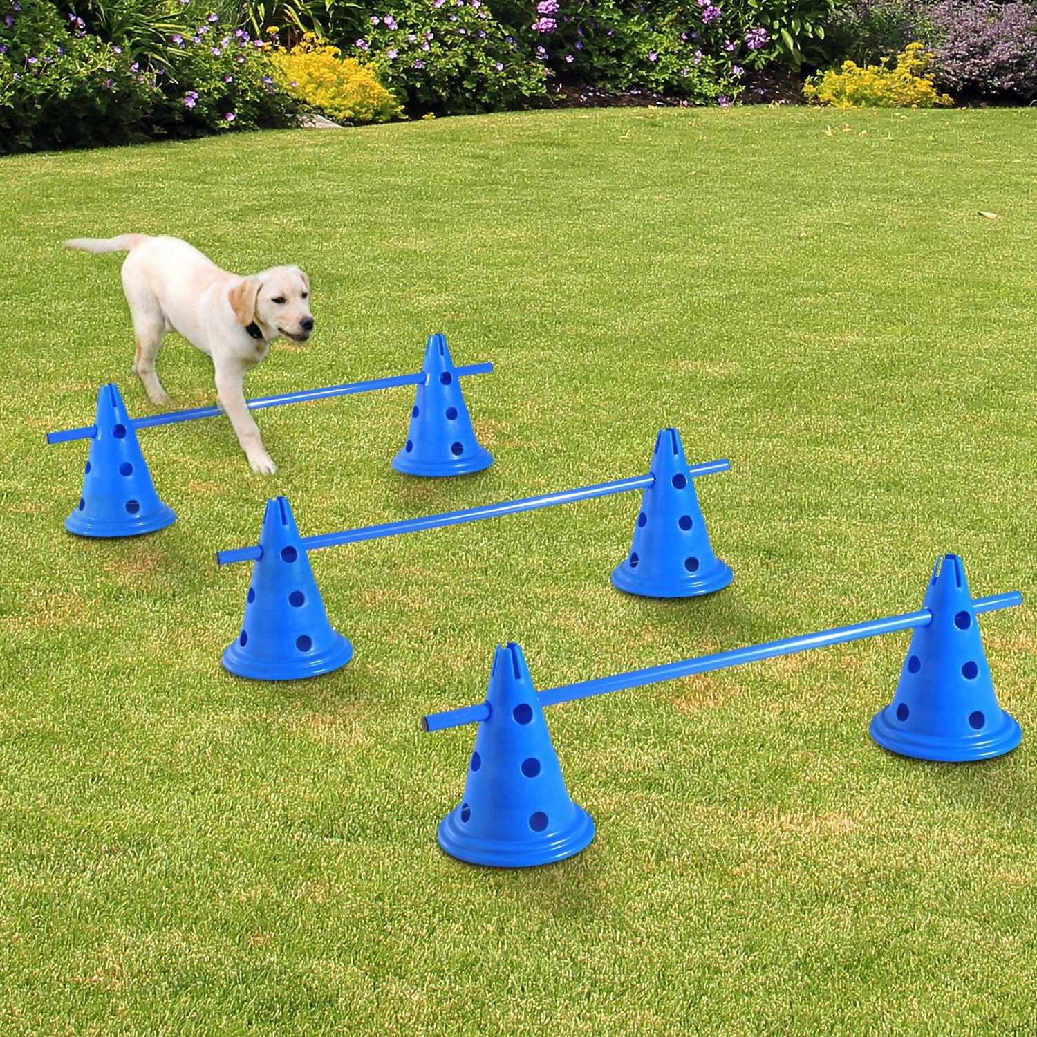 PawHut Dog Agility Equipment Training Hurdles Play Run Jump Kit Indoor Outdoor Pet Puppy Exercise Sets w/ 3 Poles & 6 Cones