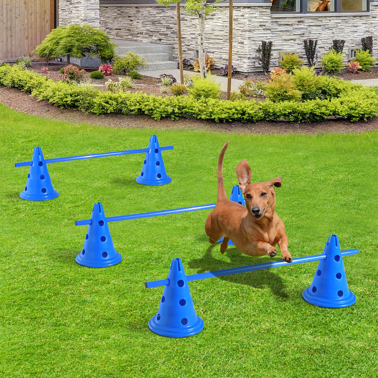 PawHut Dog Agility Equipment Training Hurdles Play Run Jump Kit Indoor Outdoor Pet Puppy Exercise Sets w/ 3 Poles & 6 Cones