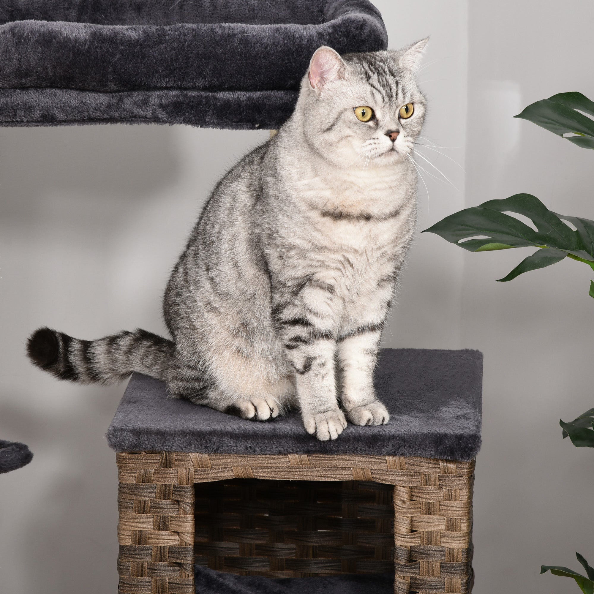 PawHut Cat Tree Tower for Indoor Cats 101cm Climbing Activity Center Kitten with Sisal Scratching Post Condo Perch Hanging Balls Toy Cushion PE Rattan