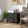 HOMCOM Lateral File Cabinet with 2 Drawer, Lockable Filing Cabinet with Adjustable Hanging Bar for Letter, A4 and Legal Size, Black