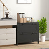HOMCOM Lateral File Cabinet with 2 Drawer, Lockable Filing Cabinet with Adjustable Hanging Bar for Letter, A4 and Legal Size, Black