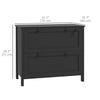 HOMCOM Lateral File Cabinet with 2 Drawer, Lockable Filing Cabinet with Adjustable Hanging Bar for Letter, A4 and Legal Size, Black