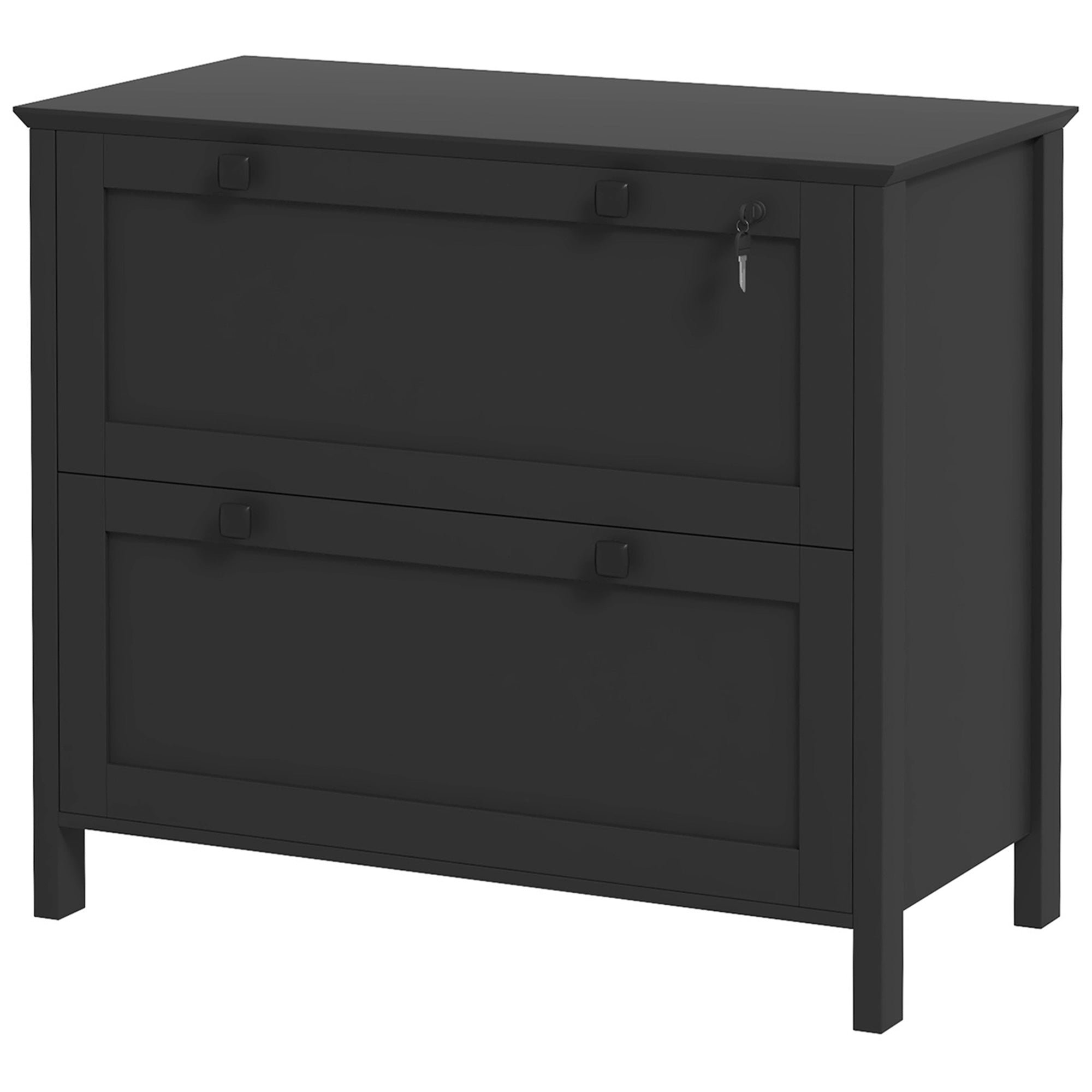 HOMCOM Lateral File Cabinet with 2 Drawer, Lockable Filing Cabinet with Adjustable Hanging Bar for Letter, A4 and Legal Size, Black
