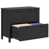 HOMCOM Lateral File Cabinet with 2 Drawer, Lockable Filing Cabinet with Adjustable Hanging Bar for Letter, A4 and Legal Size, Black