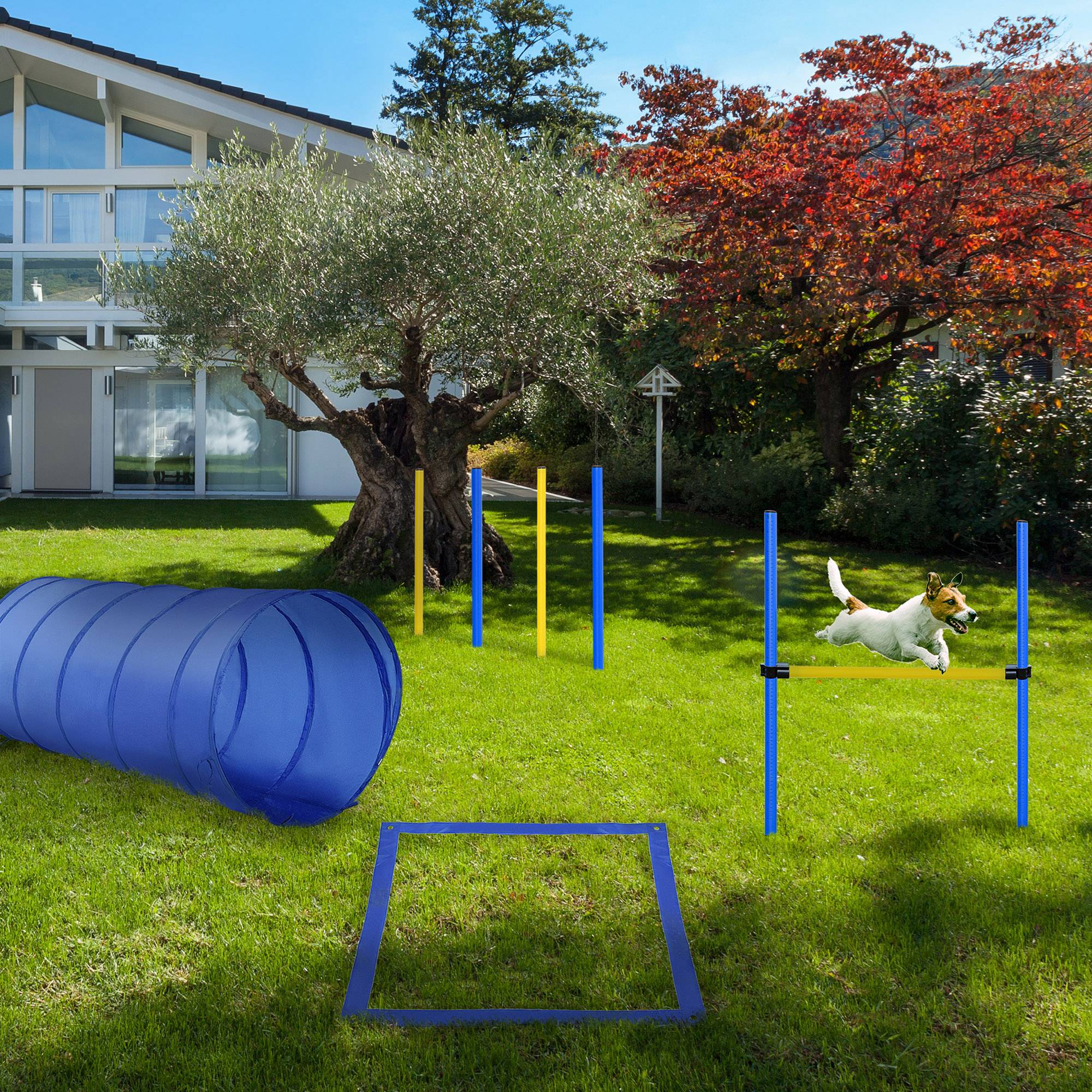 PawHut Pet Agility Training Equipment Dog Play Run Jump Obedience Training Set Adjustable (Poles + Hurdle + Tunnel + Pause Box)