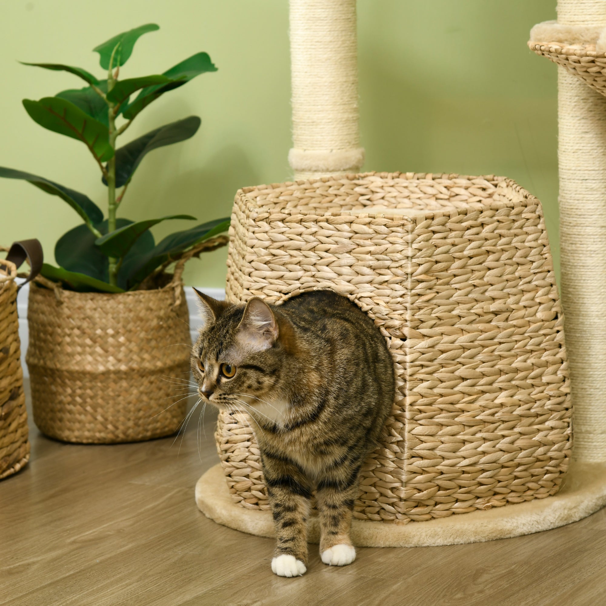 PawHut Cat Tree Tower for Indoor Cats Climbing Activity Center Kitten Furniture with Cattail Fluff Bed Condo Sisal Scratching Post Hanging Ball 50 x 50 x 119cm Natural