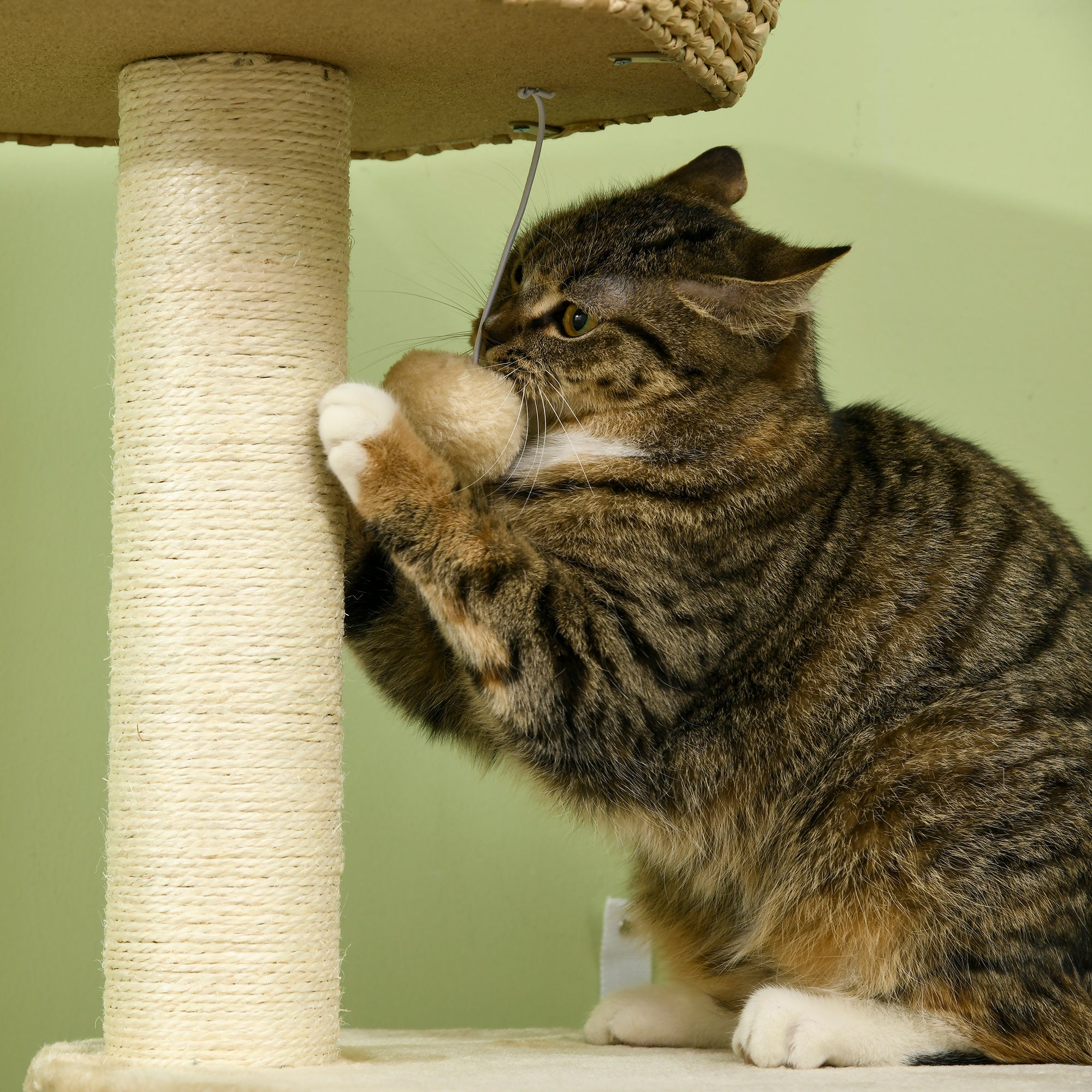 PawHut Cat Tree Tower for Indoor Cats Climbing Activity Center Kitten Furniture with Cattail Fluff Bed Condo Sisal Scratching Post Hanging Ball 50 x 50 x 119cm Natural
