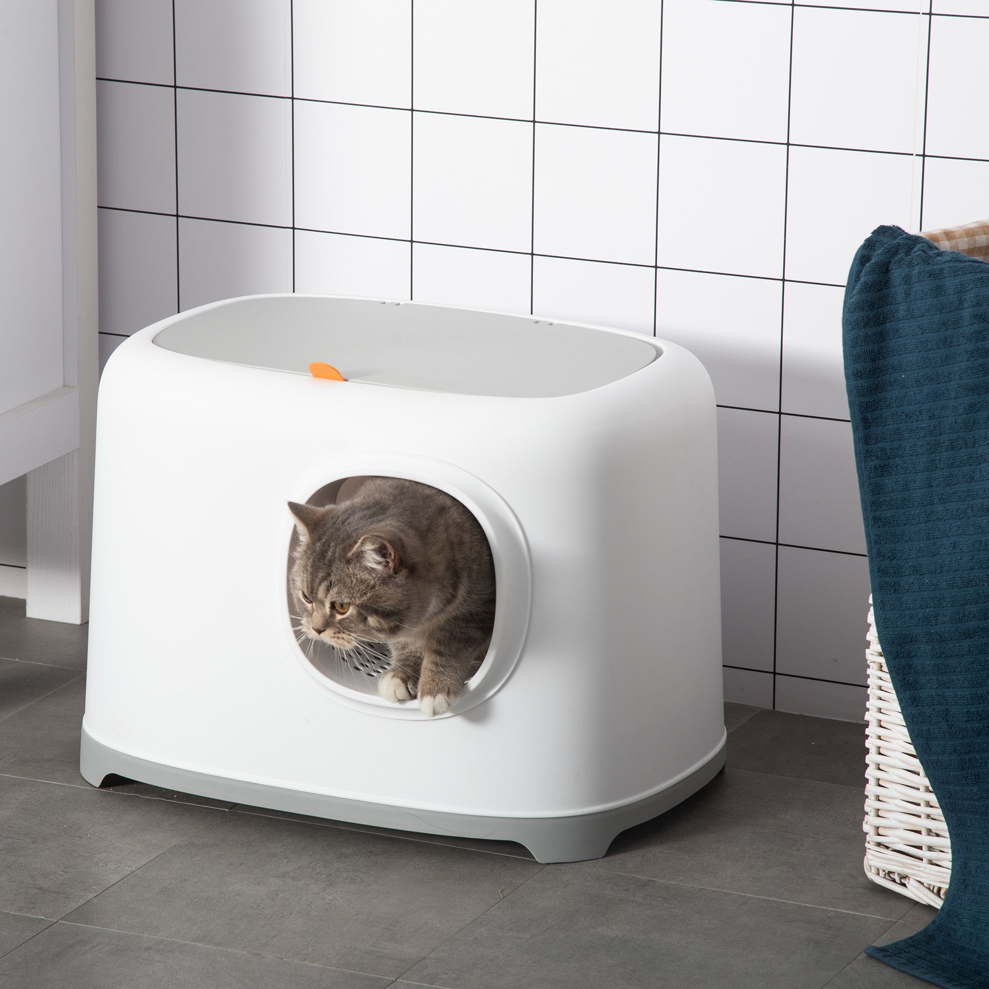 PawHut Cat Litter Box, Open Top Kitty Litter Pan with Anti-Sand Tunnel, Scoop, Odor Control & Easy to Clean, White