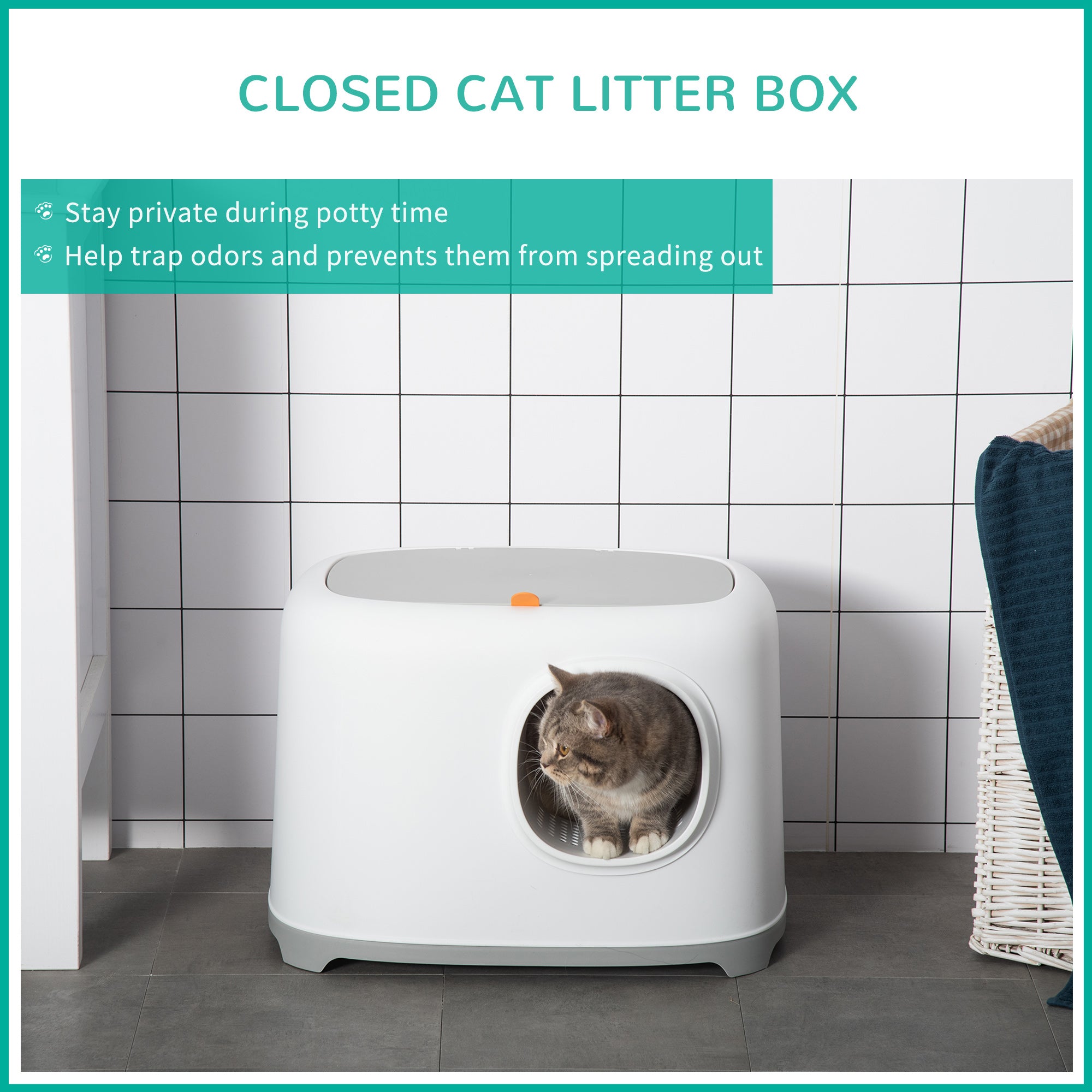 PawHut Cat Litter Box, Open Top Kitty Litter Pan with Anti-Sand Tunnel, Scoop, Odor Control & Easy to Clean, White