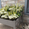Outsunny 2 Tiers Raised Garden Bed, Wooden Elevated Planter Box with Legs Gardening Planting Bed with 2 Compartments for Flower Vegetable Herb Grow, Grey