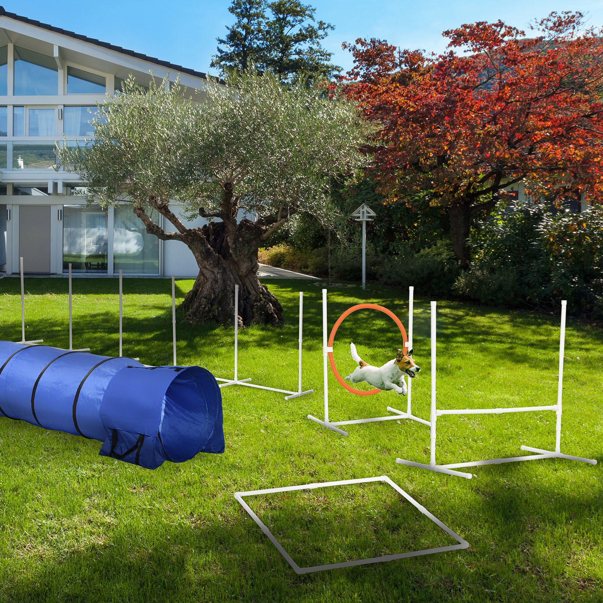 PawHut 5PCs Portable Dog Agility Training Equipment, Pet Agility Training Set with Adjustable Height Jump Ring, Jumper, Weave Poles, Square Pause Box, Carrying Bag, Whistle