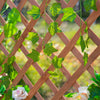 Outsunny 2.4 x 1 x 4.9 ft Raised Garden Bed, Wooden Planter with Topped Trellis for Climbing Plants, Flower Raised Bed, Orange