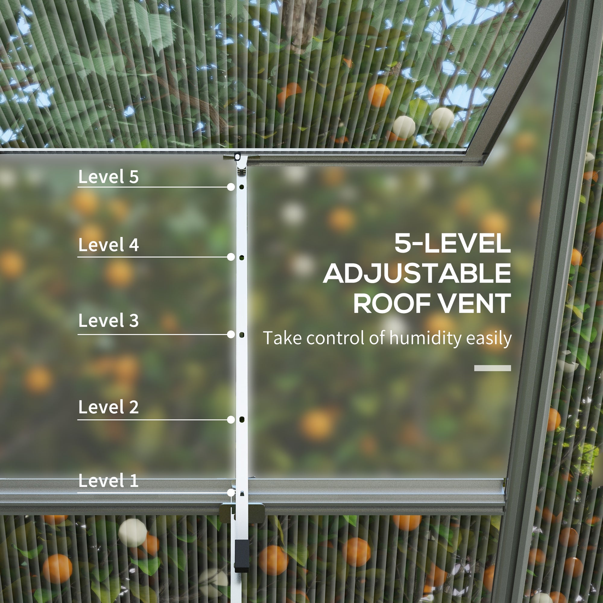 Outsunny 6' x 8' Polycarbonate Greenhouse with 2 Polycarbonate Types, Walk-in Green House with Hinged Door, 5-Level Roof Vents, Rain Gutter, Aluminium Frame and Foundation Kit