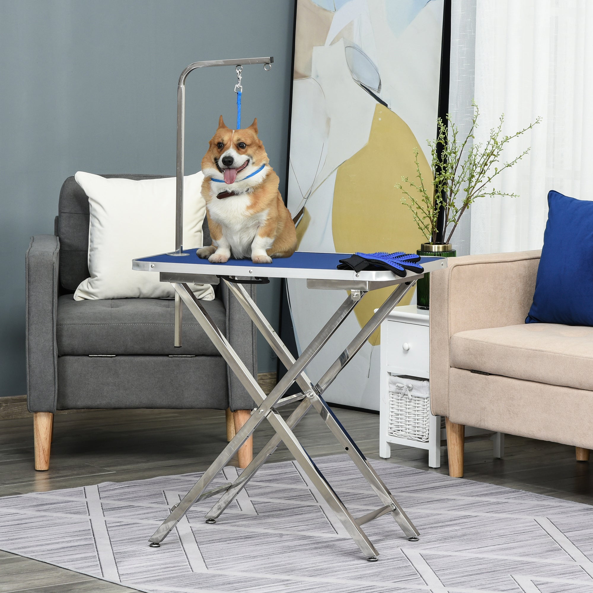 PawHut 28" Foldable Dog Grooming Table with Adjustable Arm, Non-Slip Surface, Pet Grooming Table for Medium Small Dogs, Cats, Blue