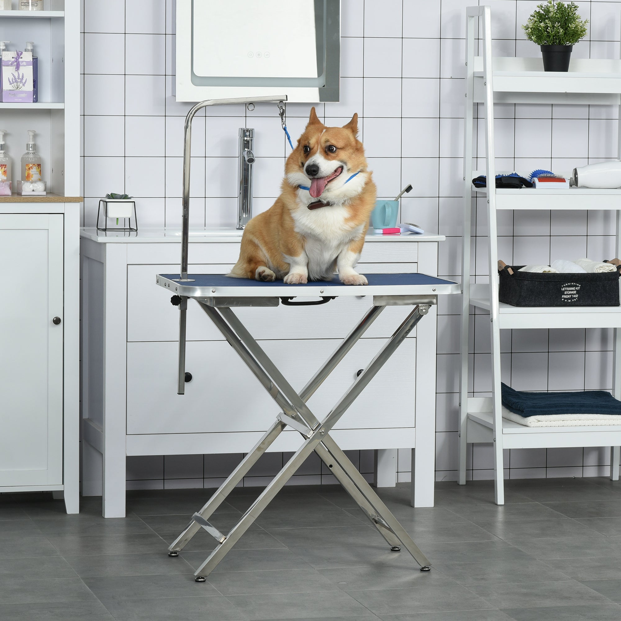 PawHut 28" Foldable Dog Grooming Table with Adjustable Arm, Non-Slip Surface, Pet Grooming Table for Medium Small Dogs, Cats, Blue