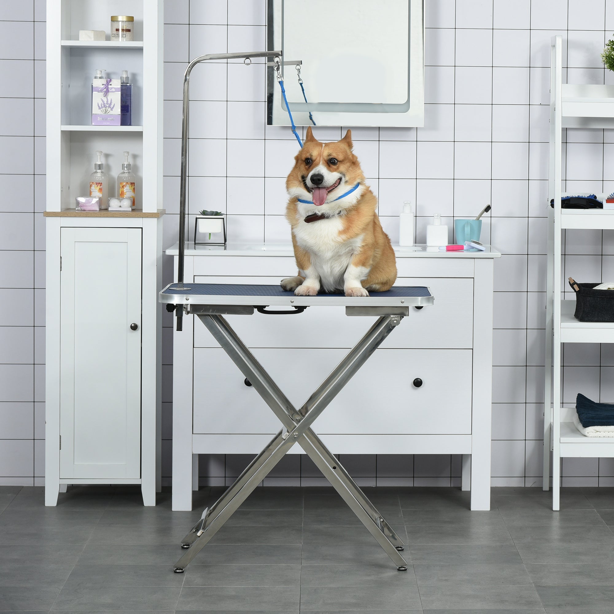 PawHut 28" Foldable Dog Grooming Table with Adjustable Arm, Non-Slip Surface, Pet Grooming Table for Medium Small Dogs, Cats, Blue