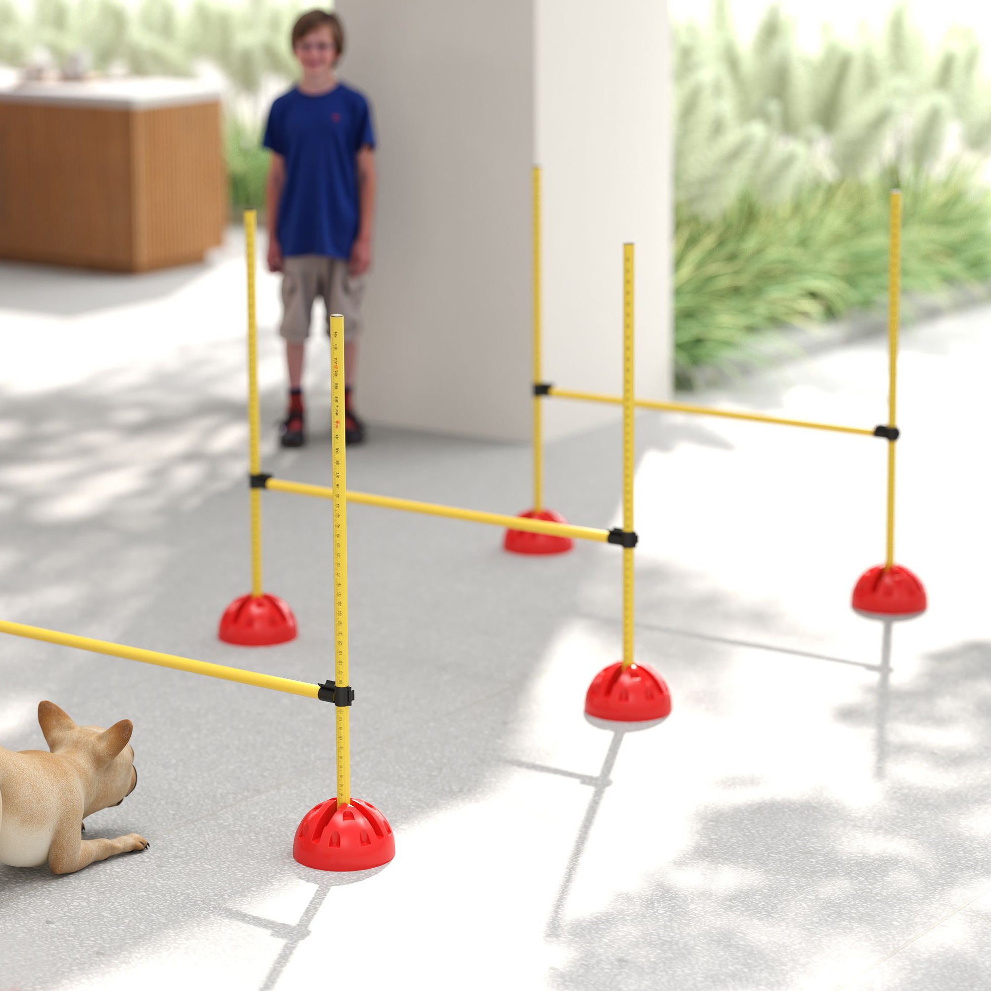 PawHut 4 Piece Agility Training Equipment for Dogs with 4 Height Adjustable Jump Hurdle, Carry Bag, Portable & Easy Assemble Dog Agility Equipment, Outdoor Obstacle Course for Obedience Training