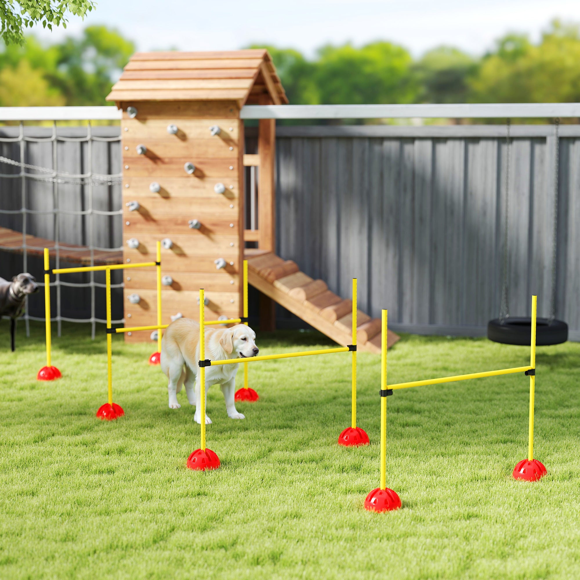 PawHut 4 Piece Agility Training Equipment for Dogs with 4 Height Adjustable Jump Hurdle, Carry Bag, Portable & Easy Assemble Dog Agility Equipment, Outdoor Obstacle Course for Obedience Training
