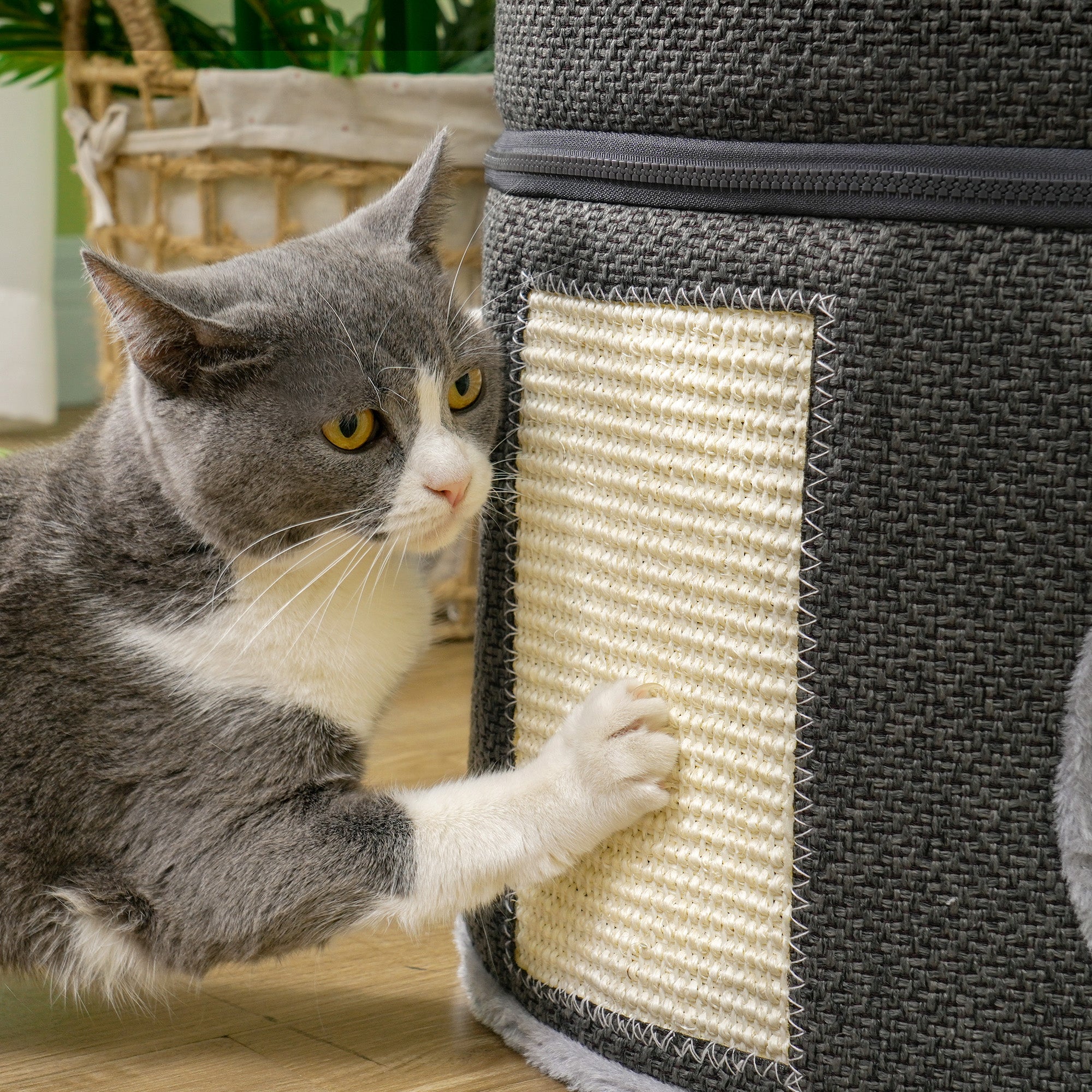 PawHut 2-Story Cat Condo Tower, 22 Inches Cat Tree for Indoor Cats with Top Perch and 2 Hideaways, Sisal Scratching Board, Removable Cushions, Toy Balls, Dark Grey