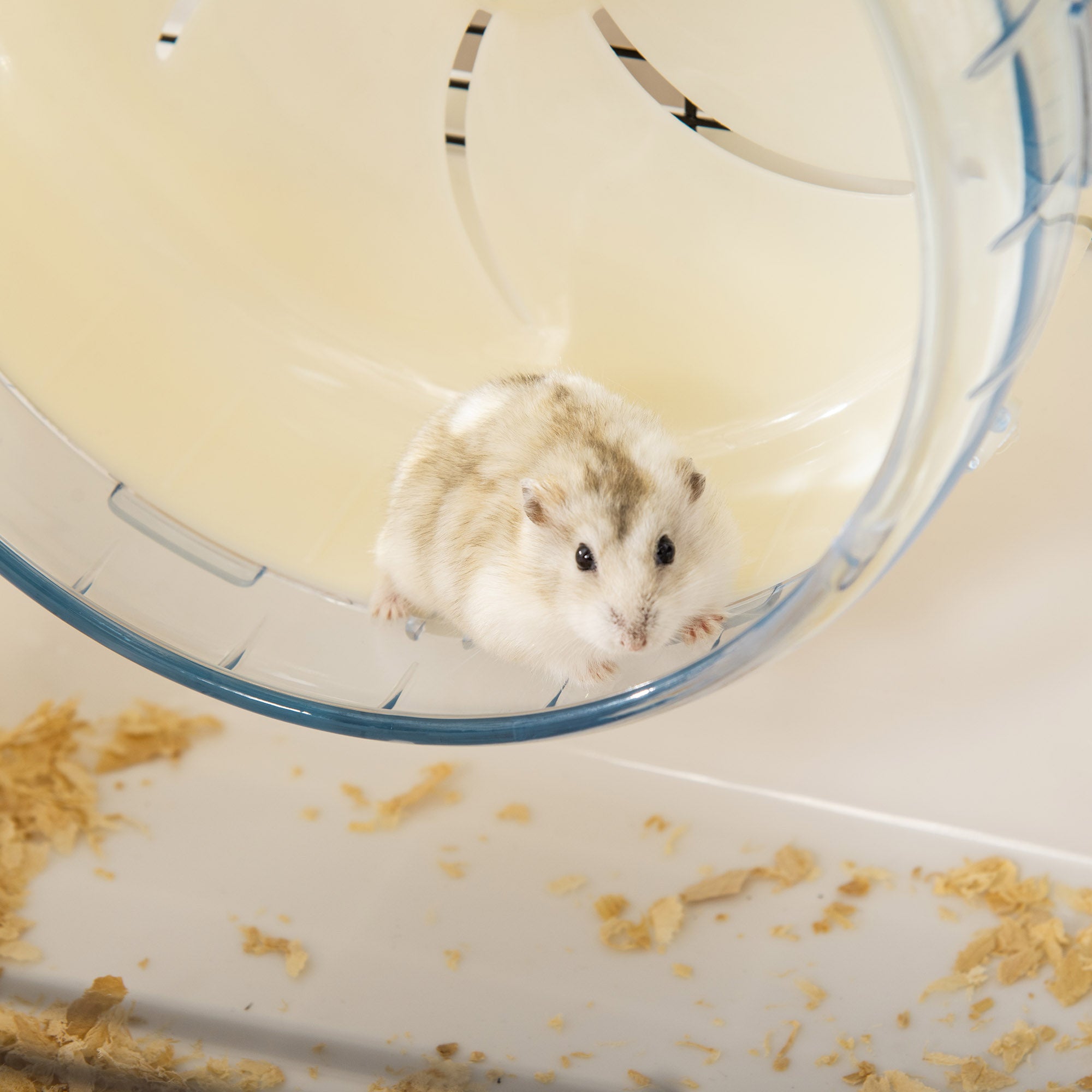 PawHut Hamster Cage, Gerbil Haven, Multi-storey Rodent House, Small Animal Habitats, Large Hide-out, w/ Water Bottle, Tubes, Exercise Wheel, Food Dish, Ramp, Shower Room, White
