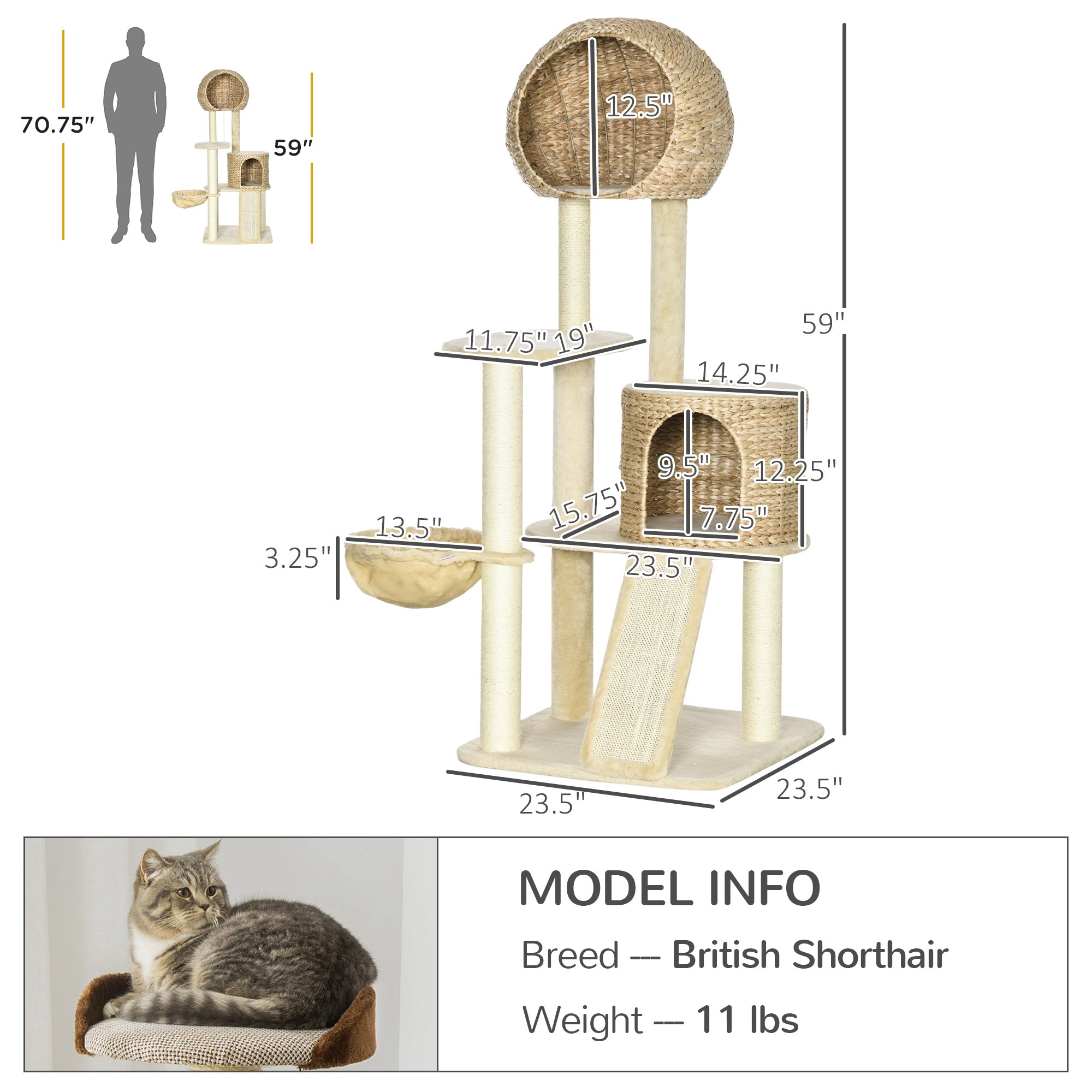 PawHut 59 Inch Cat Tree for Indoor Cats, Cat Tower with Cat Condo, Hammock, Perches, Scratching Posts, Ramp for Large Cats, Beige