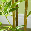 HOMCOM 4ft Set of 2 Artificial Bamboo with Pot, Indoor Fake Plants for Home Office Living Room Decor
