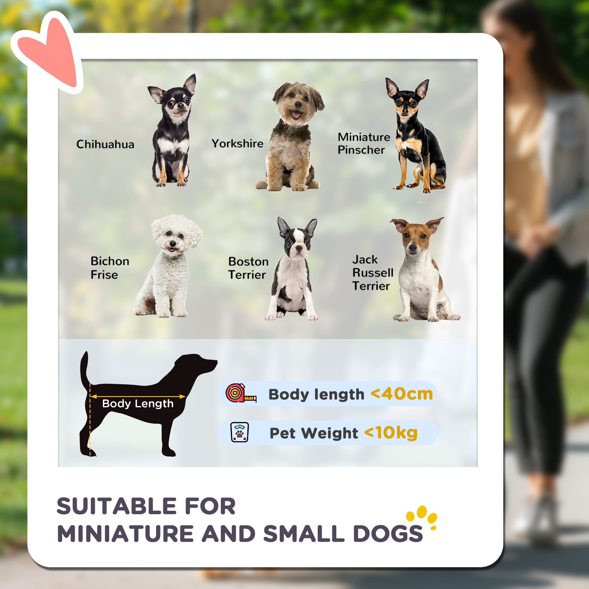 PawHut Dog Pram Dog Stroller Pet Pushchair with Detachable Carrier Soft Padding, Safety Leashes, for Mini and Small Dogs - Grey