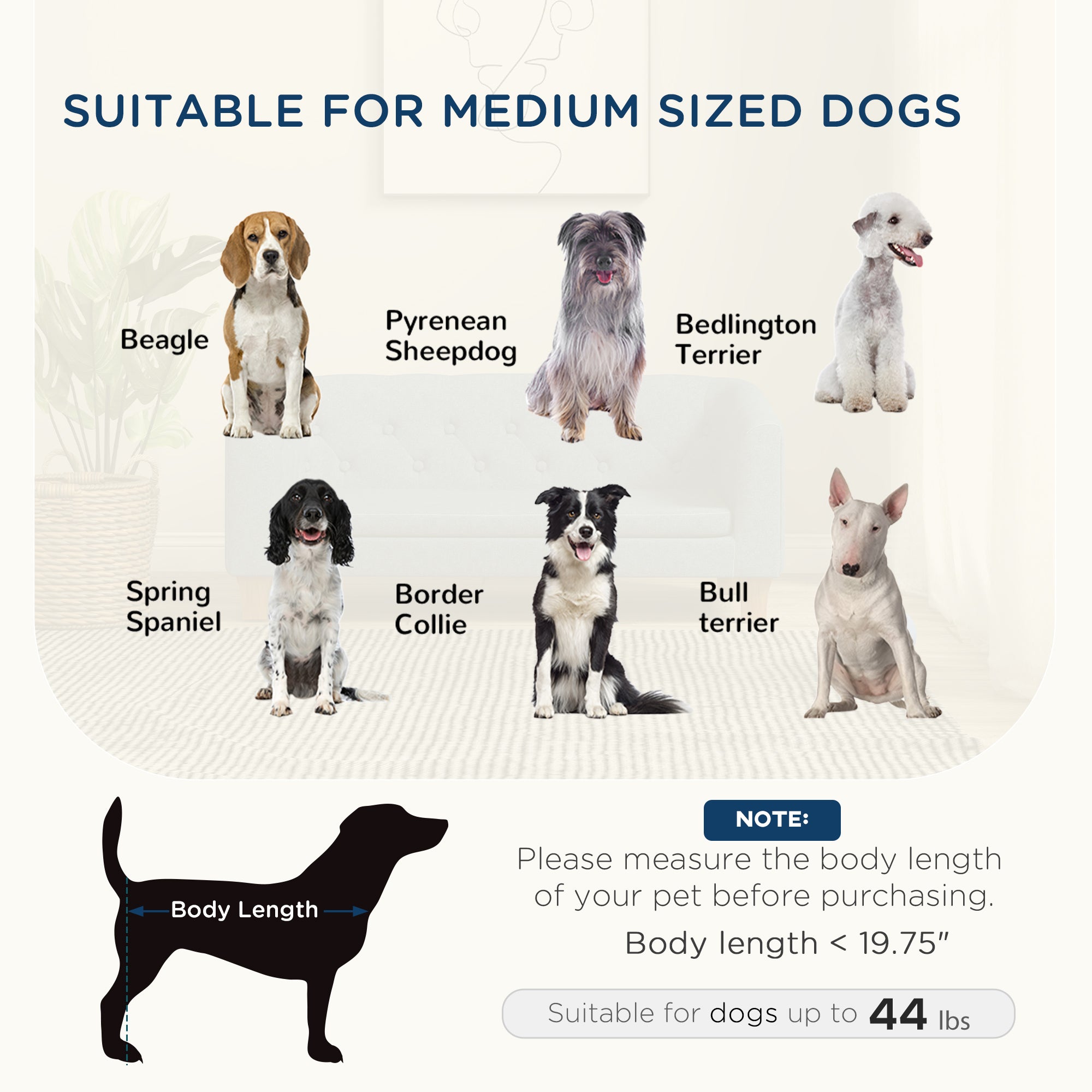 PawHut Raised Dog Sofa, Elevated Pet Couch for Small and Medium Dogs, with Removable Soft Cushion, Anti-Slip Pads, Simple Installation, Gray