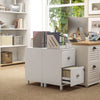 HOMCOM 2 Drawer File Cabinet, Lockable Filing Cabinet with Adjustable Hanging Bars for A4 and Letter for Home Office, White