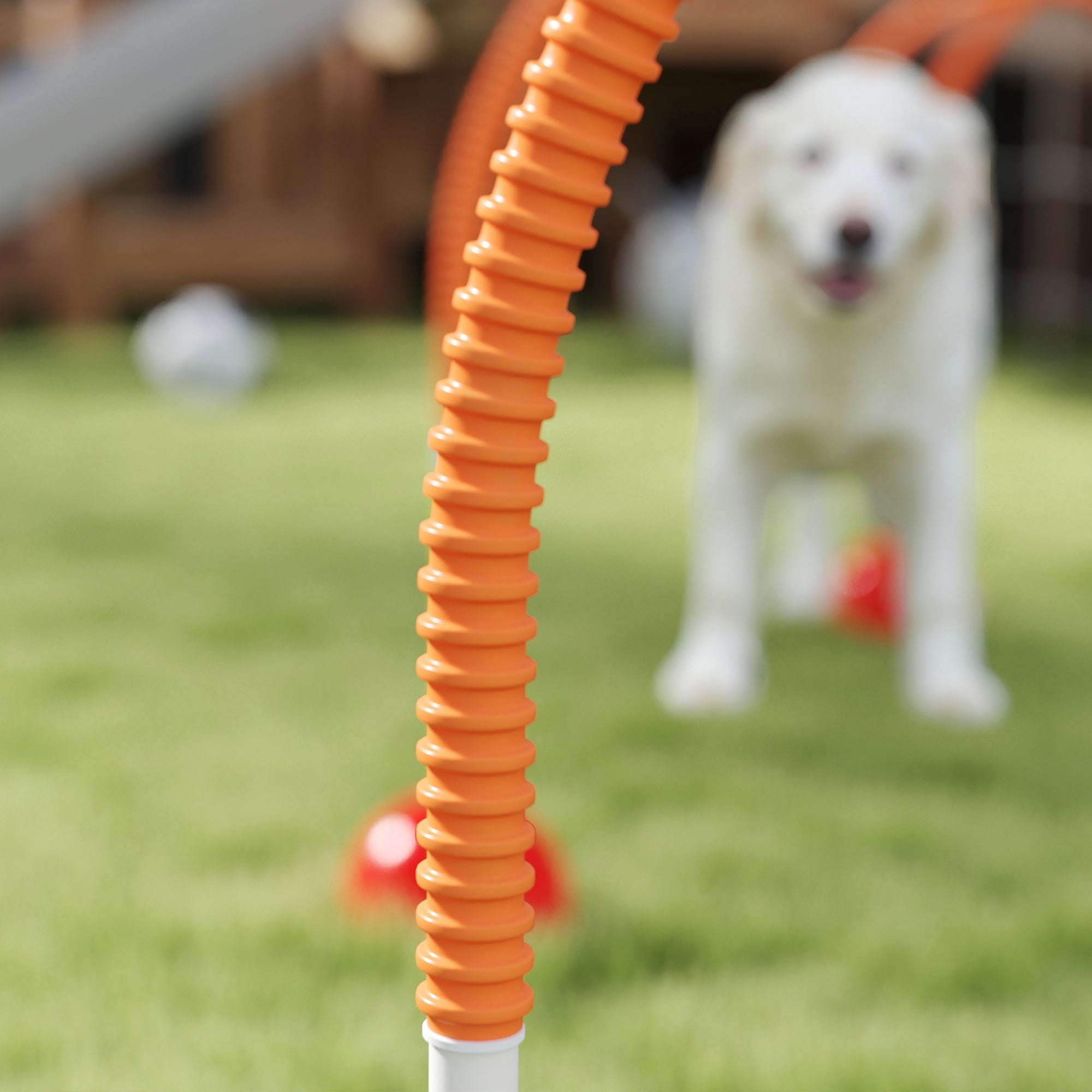 PawHut 4 Piece Dog Agility Equipment, Dog Agility Course Backyard Set with 4 Adjustable Width Doors, Carry Bag, Easy Assemble & Portable Dog Agility Training Set, Orange
