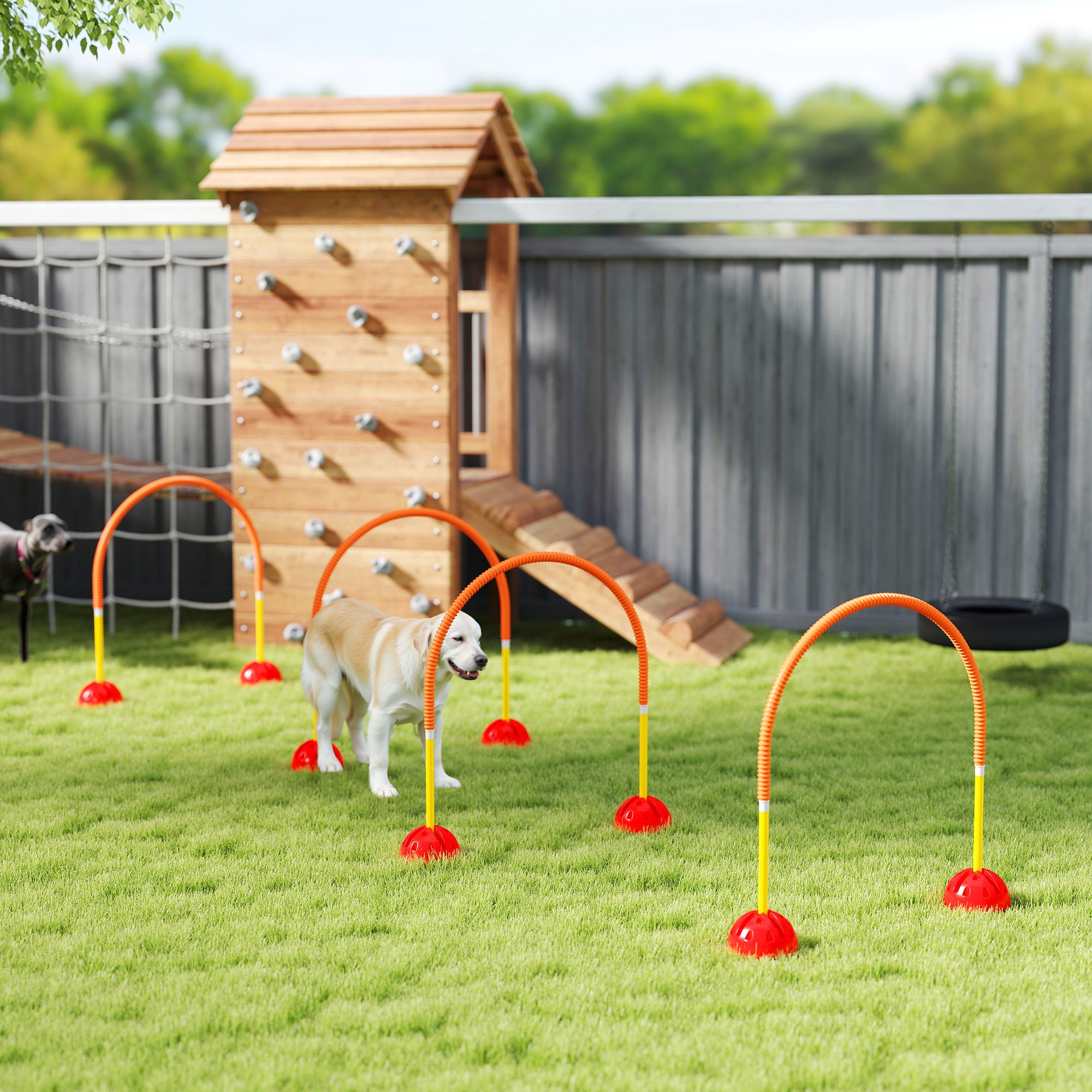 PawHut 4 Piece Dog Agility Equipment, Dog Agility Course Backyard Set with 4 Adjustable Width Doors, Carry Bag, Easy Assemble & Portable Dog Agility Training Set, Orange