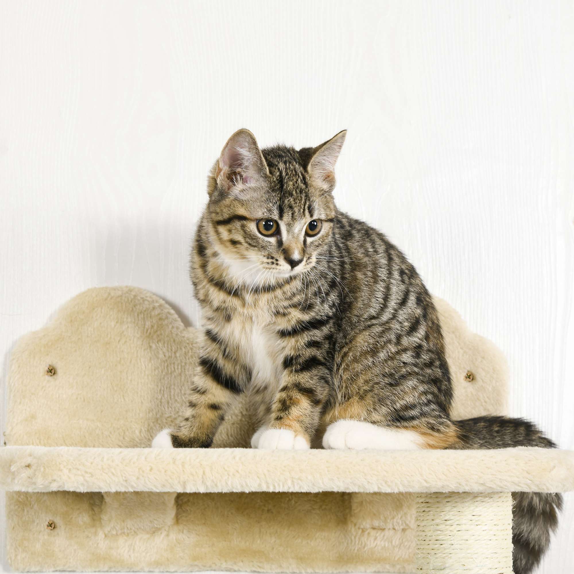 PawHut Wall-Mounted Cat Tree with Hammock for a Cute Cat Bed, Modern Cat Tree with Scratching Post & Cat Shelves, Climbing Playground Kitty Tower