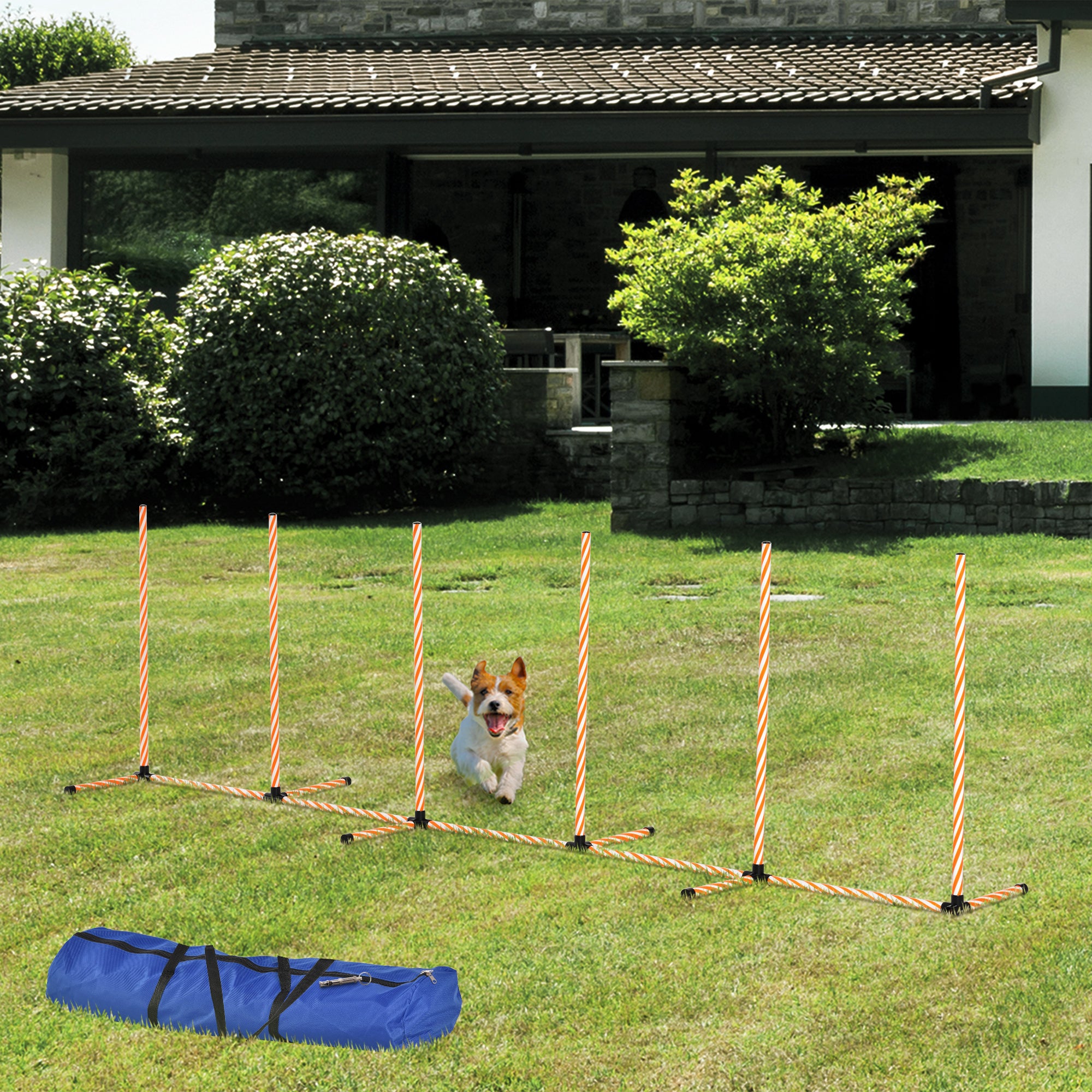 PawHut Dog Agility Equipment Pet Outdoor Training Play Run Obstacle w/ 6 Weaves Poles Whistle Carrying Bag