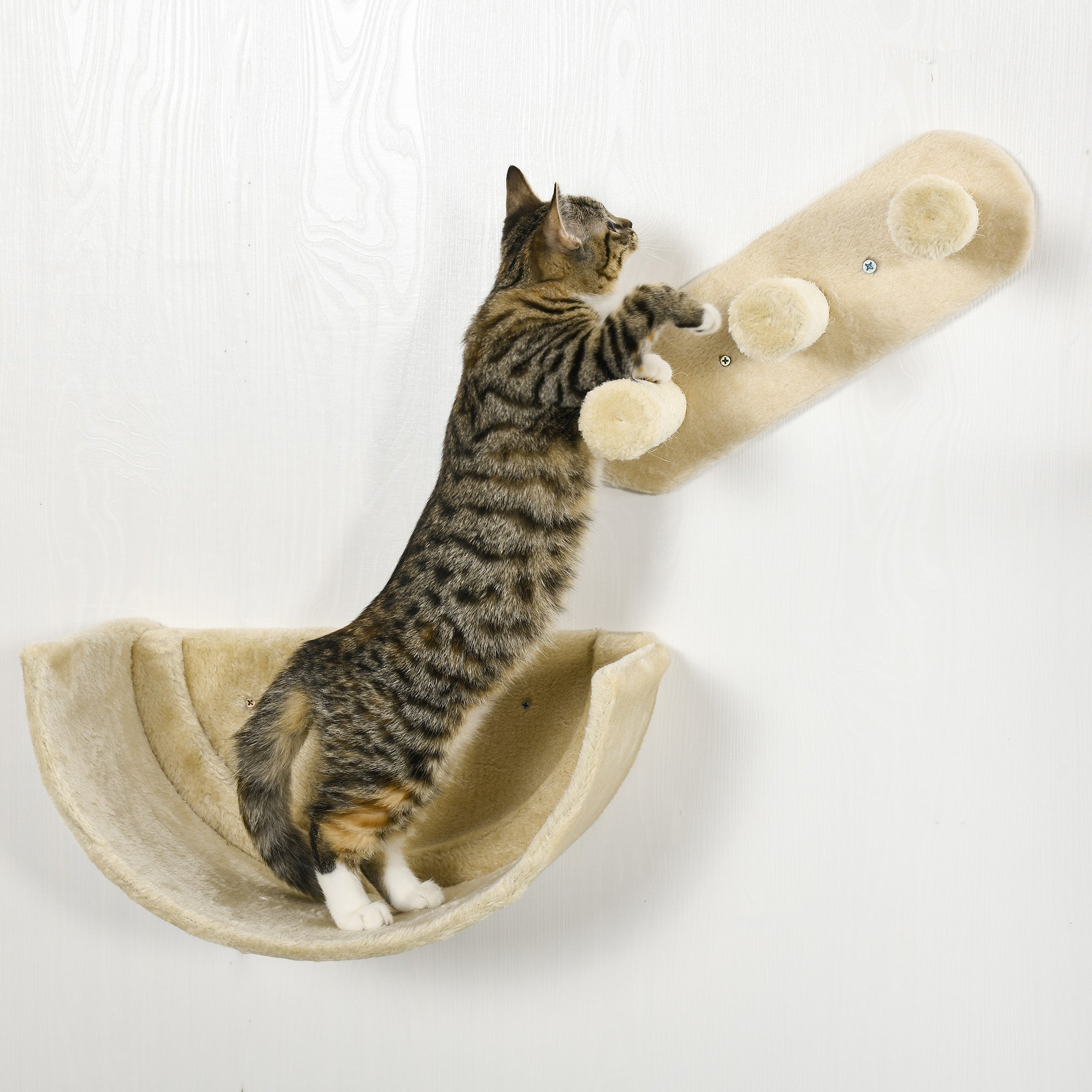 PawHut Cat Wall Shelves, 3PCs Cat Shelves with Hammock, Scratching Post, 3 Steps, Jumping Platforms, Wall Mounted Cat Climber, Beige