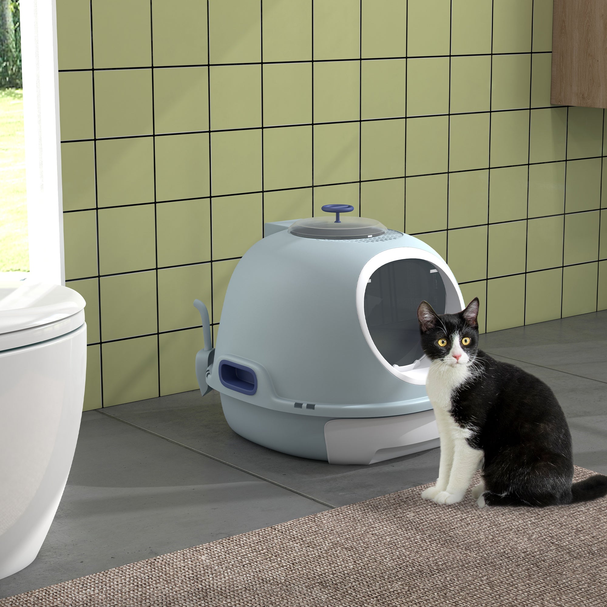 PawHut Enclosed Cat Litter Box, Covered Litter Box with Lid and Scoop, Cat Box Enclosure with Pull-out Drawer Type, Front Door and Skylight, Easy to Clean, Blue