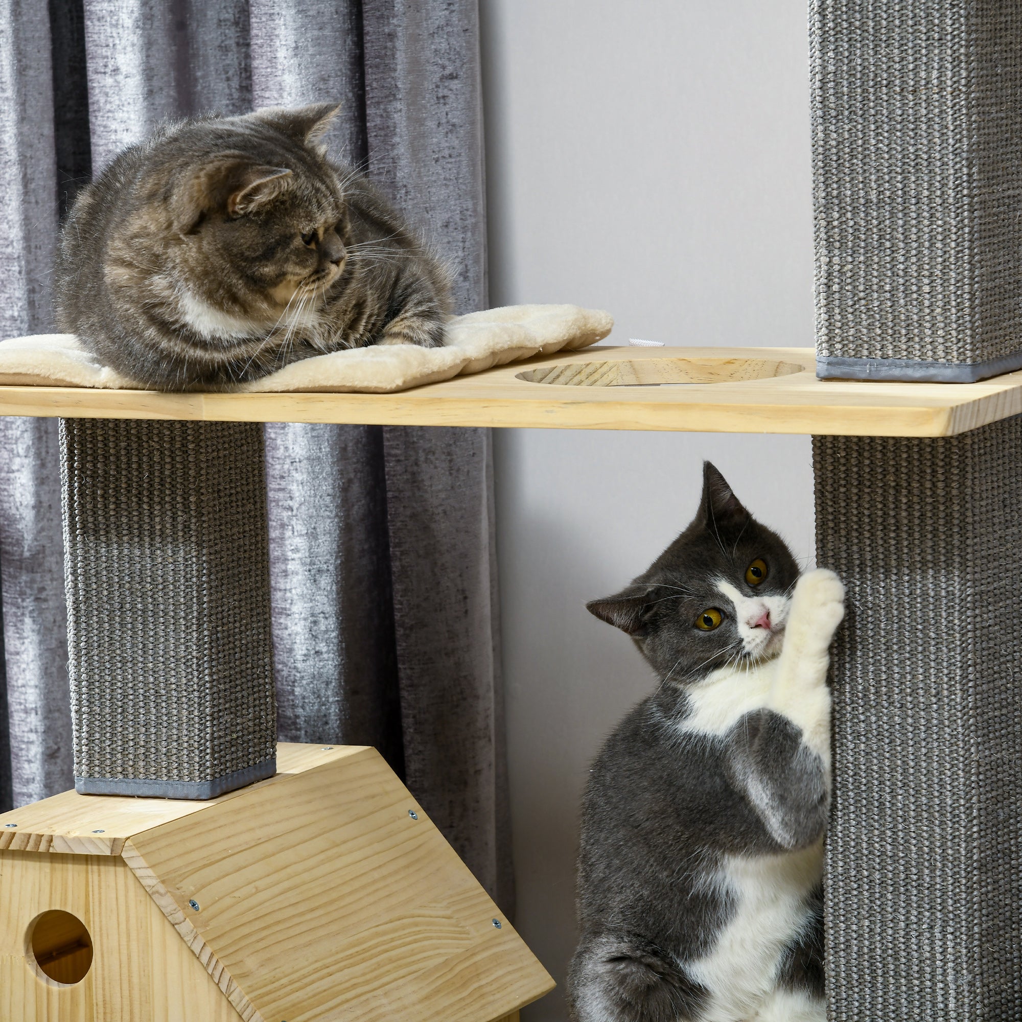 PawHut 53" Modern Cat Tree with Scratching Posts & Wheel, Small Cat Tree with Double-Layer Cushioned House, Small Cat Tower for Indoor Cat Furniture, Climbing Wooden Cat Tree