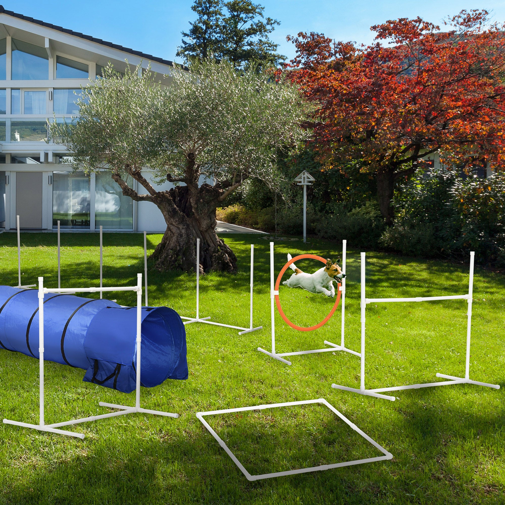 PawHut Dog Agility Equipment Set 6 PCs with 3(m) Tunnel, Canine Whistle, Pause Box, Dog Jumps, Weave Poles