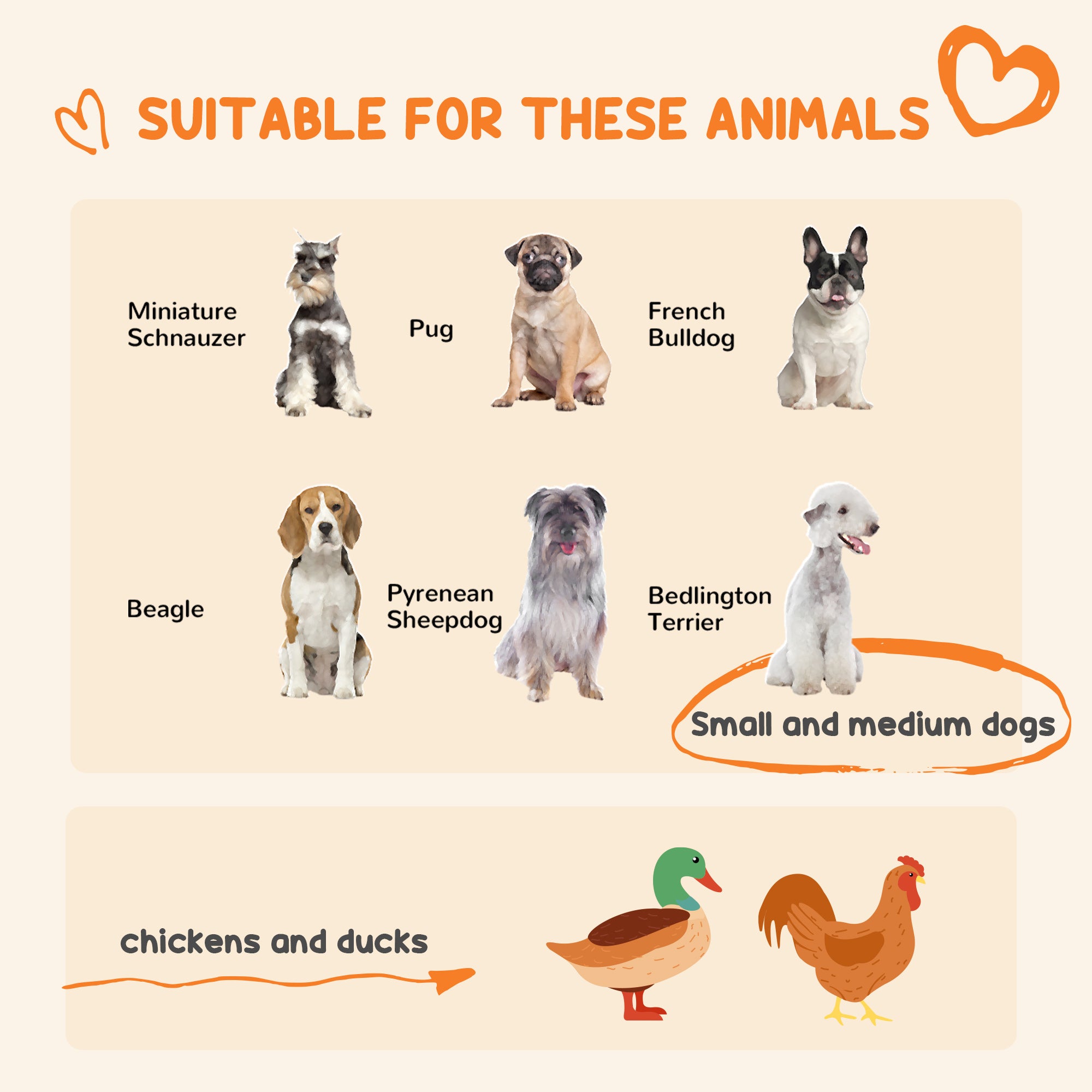 PawHut 4' x 4' x 6' Outdoor Dog Kennel with Waterproof Canopy, Removable Windproof Walls, Dog Run Exercise Pen for Small & Medium Dogs, Chickens, Ducks