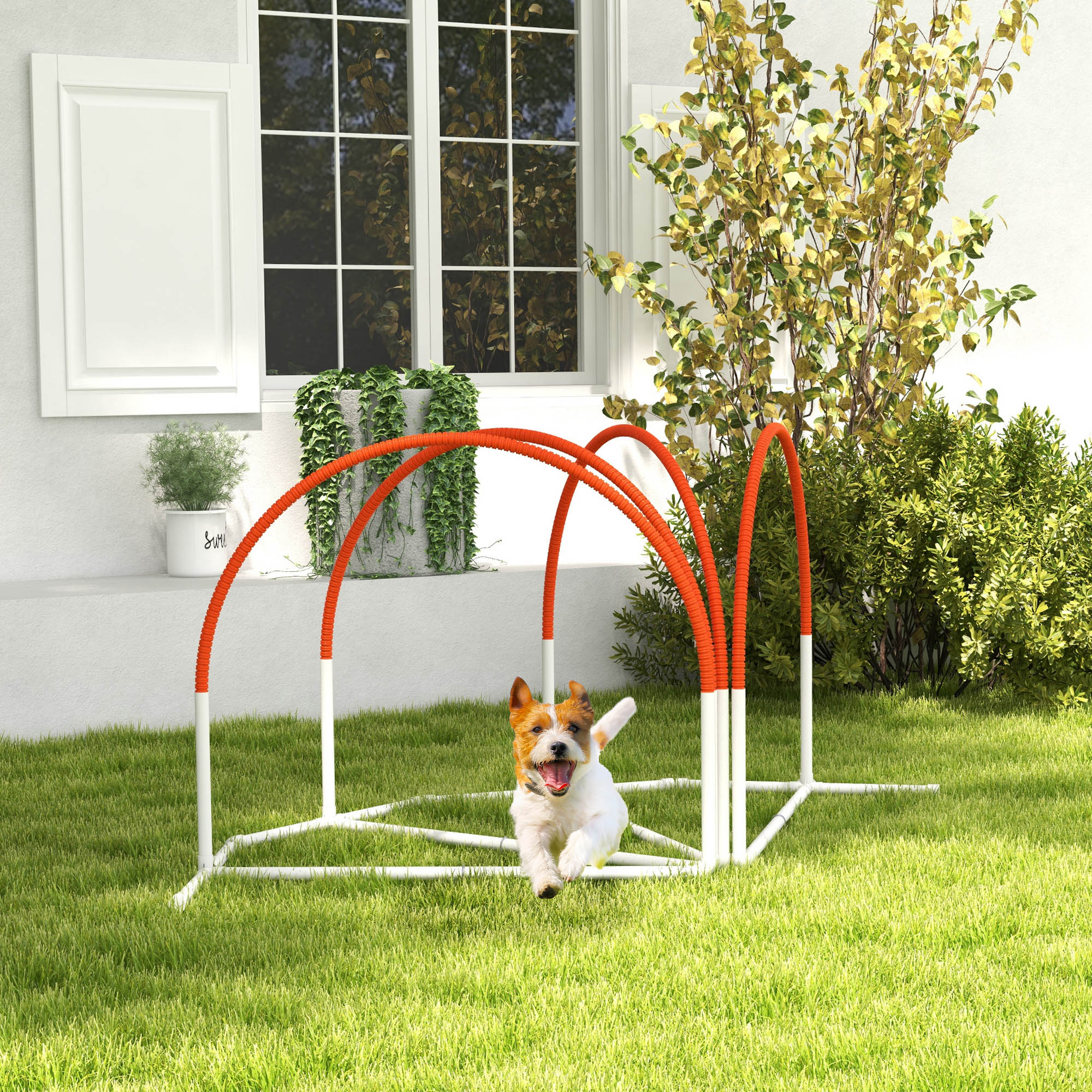 PawHut 4 Pieces Dog Agility Training Equipment with Weave Poles, Training Starter Kit, Dog Obstacle Course, Pet Outdoor Games with Carry Bag, Orange