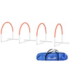 PawHut 4 Pieces Dog Agility Training Equipment with Weave Poles, Training Starter Kit, Dog Obstacle Course, Pet Outdoor Games with Carry Bag, Orange